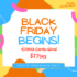 Black Friday – Cyber Monday Deal ~ Kids Yoga Teacher Training ~ 100% Online!